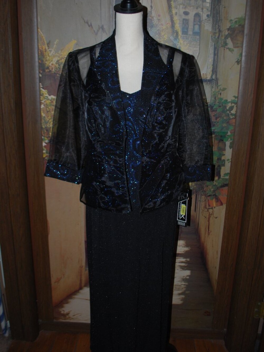 NWT Beautiful 2-pc. Sparkly Long Dress with Sheer Jacket - 12P
